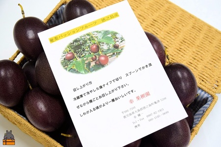 【今が旬！】 徳之島 幸（こう）果樹園さんのパッションフルーツ（3kg）（ フルーツ 果物 旬 スイーツ 島 いいね 大容量 家族 夏 パッション 果樹 徳之島 奄美 鹿児島 幸果樹園)