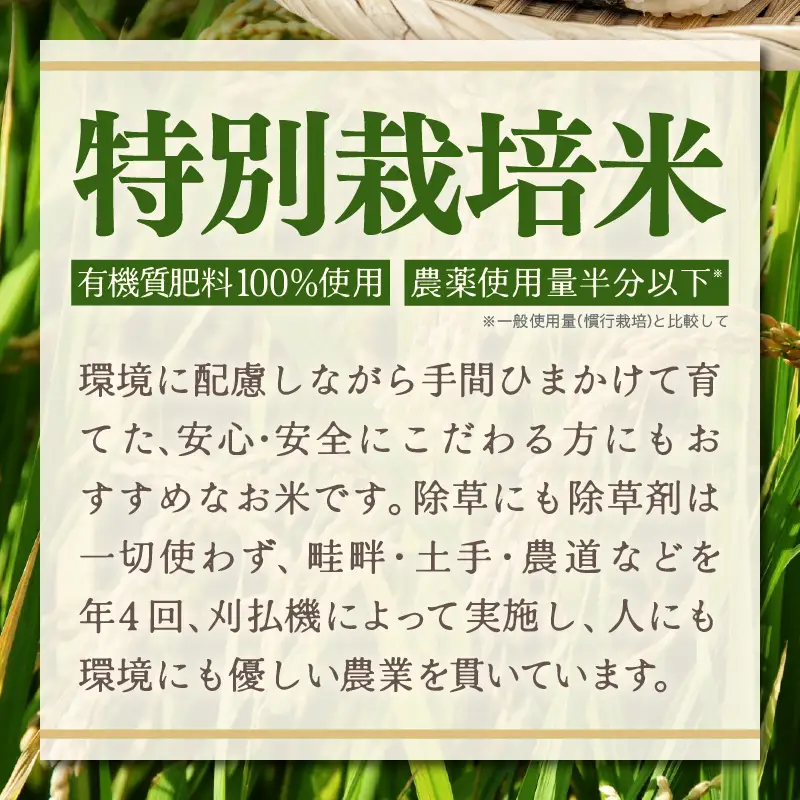 【先行予約】【令和8年産】定期便 ≪6ヶ月連続お届け≫ 特別栽培米 コシヒカリ 精米 5kg×6回（計30kg）※2026年10月上旬より順次発送 [aw121-f001]