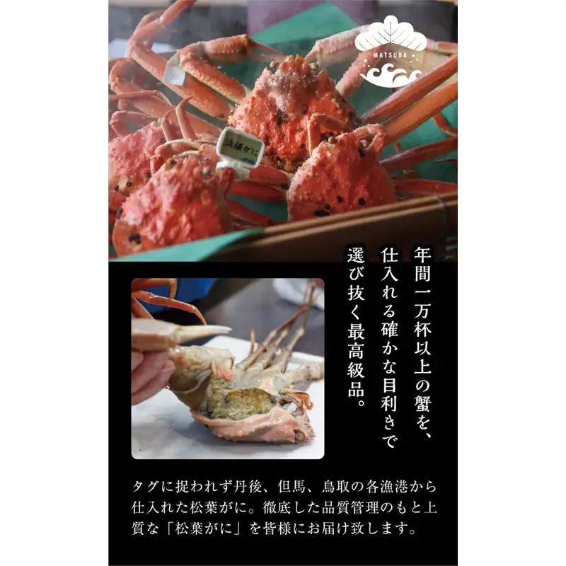 松葉ガニ玉手箱 2個セット（ガニグラタン/かに酢付き） かに 蟹 松葉ガニ 蟹グラタン かに酢