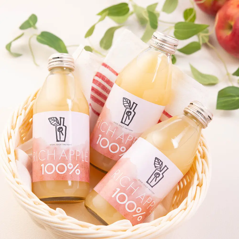 【定期便3ヶ月】RICH APPLE りんごジュース12本セット（250ml×12本×3回）【飲料類 果汁飲料】