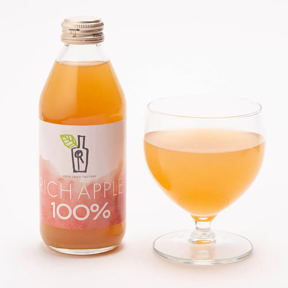 【定期便3ヶ月】RICH APPLE 飲み比べ りんごジュース12本セット（250ml×12本×3回）【飲料類 果汁飲料】