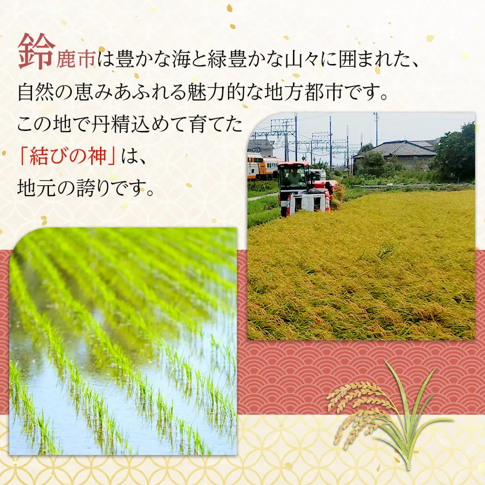 【先行予約】R8年産 白米 結びの神　5kg　三重県オリジナル品種