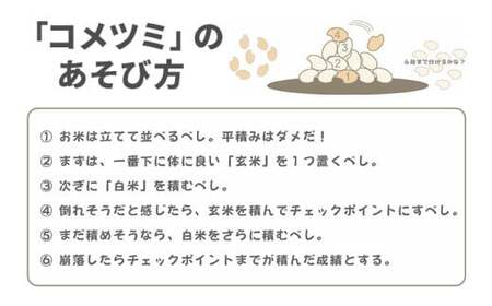 コメツミ : コミュニケーションテーブルゲーム 積み木 つみき ゲーム 知育玩具 株式会社総桐箪笥和光 AH114