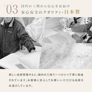 掛け布団  色(ベージュ) ダウン90% 0.7kg入り エコテックス認証 羽毛合 掛け布団 シングル ロング