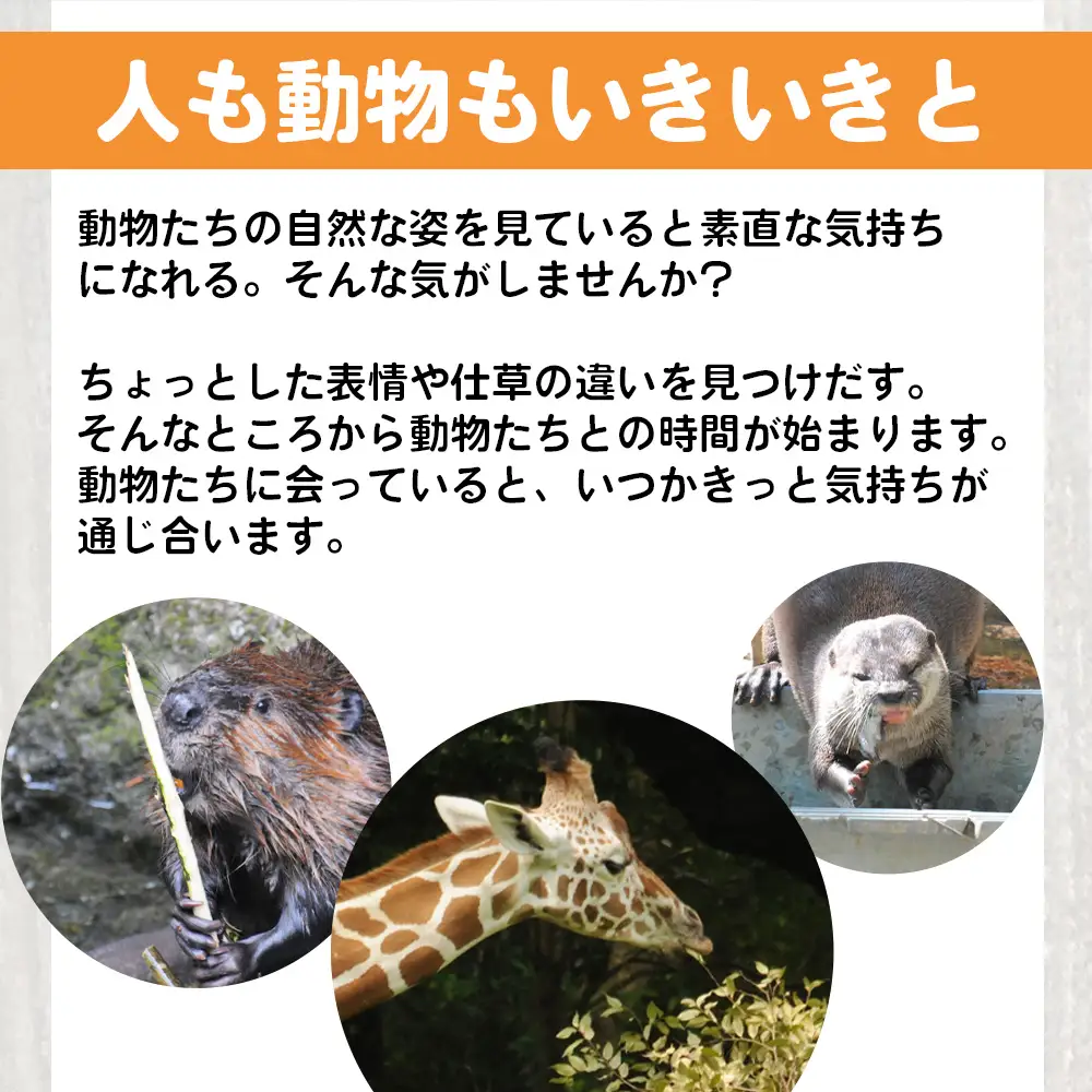 【返礼品なし】高知県立のいち動物公園 動物支援(飼料費支援) 5,000円 ni-0005