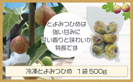 福岡県産いちじく「とよみつひめ」　冷凍パック1kg（500g×2袋）[H2326]