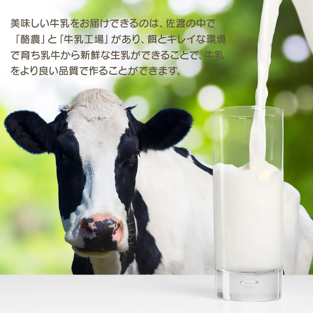 佐渡ミルクサンドクッキー 佐渡のめぐみ～佐渡牛乳100％使用～ 6個入り×3箱