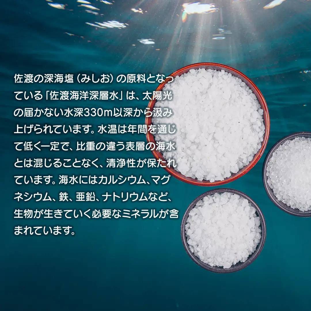 佐渡塩キャラメルラングドシャ 佐渡のめぐみ 深海塩使用 9枚入り×3箱