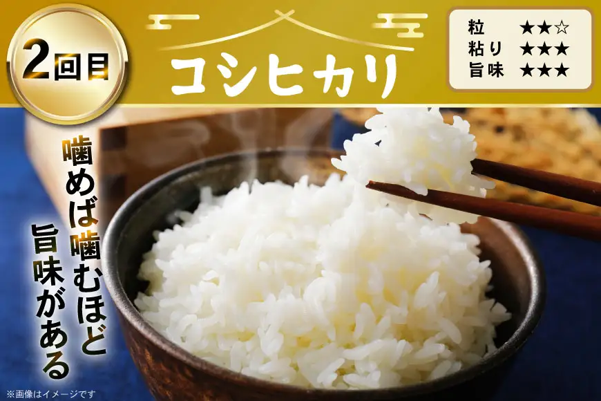 米 定期便 令和8年度産 3種 ゆめみずほ コシヒカリ ひゃくまん穀 精米 5kg 3回 計15kg