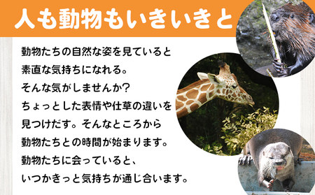 【返礼品なし】高知県立のいち動物公園 動物支援(飼料費支援) 50,000円 ni-0009