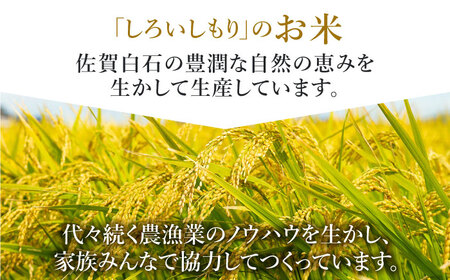 令和7年産さがびより2kg（白米） / お米 [ICD008]