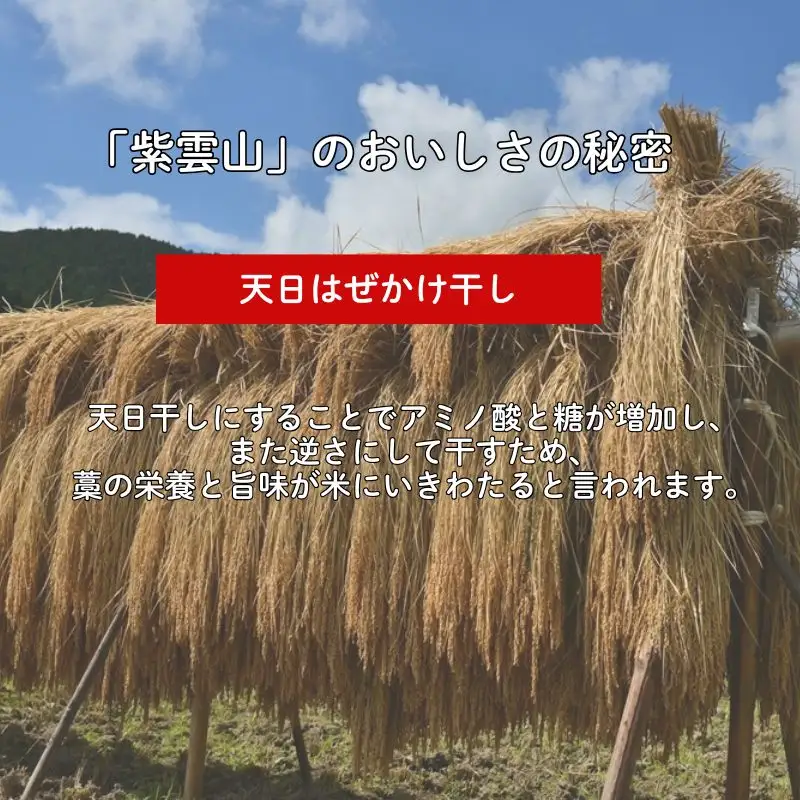 新米予約！野菜ソムリエプロselect／萩のお米「紫雲山プレミアム」 萩市紫福産コシヒカリ・はぜかけ米5㎏