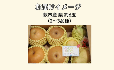 梨 詰め合わせ 先行予約 約6玉 小川梨 季節の品種 萩産