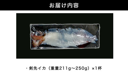 自宅で透明感を再現！須佐男命いかの姿造り（刺身）特殊冷却「3D冷凍」パック 1個