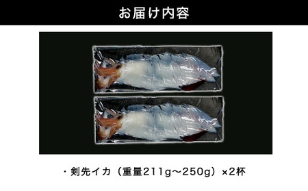 自宅で透明感を再現！須佐男命いかの姿造り（刺身）特殊冷却「3D冷凍」パック 2個セット
