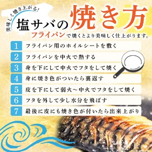 訳あり 塩サバ 2kg 約12枚 【R01425】