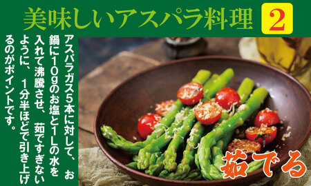 全国生産量 第2位！アスパラガス（1,600g）新鮮採れたて 農家直送 アスパラ B170-021