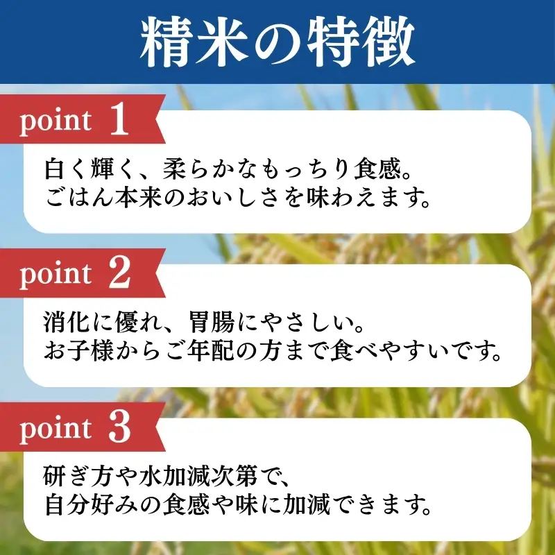 【定期便3か月】コシヒカリ 精米 上越産 コシヒカリ 5kg