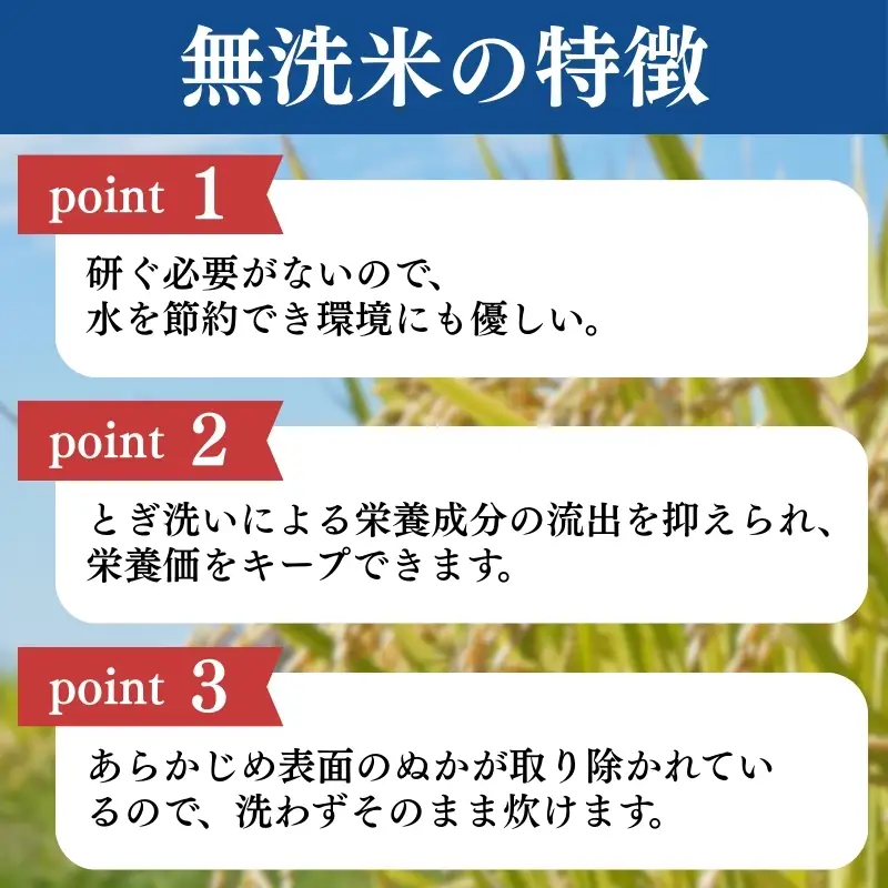 【定期便6か月】食味鑑定士厳選 コシヒカリ 無洗米 コシヒカリ 5kg