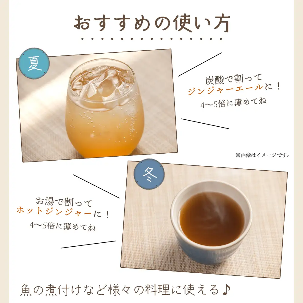 ジンジャーシロップ 200ml×5本 生姜 ジンジャーシロップ yr-0125
