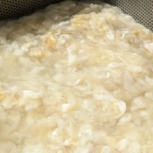 【ご予約】日本産 羊の糸 約100g×1かせ ※※2026年10月以降順次発送予定 / 毛糸 手芸 編み物 羊 ひつじ 糸 和歌山 本宮 【tsg001】