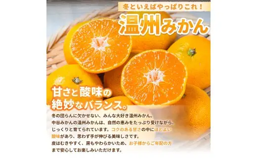温州みかん 2kg 2S～2Lサイズ混合 11月発送 / 温州 ミカン 農家直送　完熟 密柑 くだもの  果実  柑橘 果物 フルーツ 和歌山県 由良町 人気 おすすめ 産地直送 ※2026年11月中旬頃～11月下旬頃に順次発送予定【nktn004-r-2-nov】