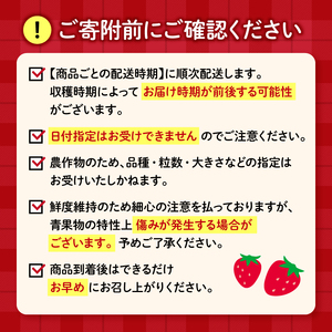 【全3回定期便】 いちご きらぴ香 約1kg 1月 2月 3月発送