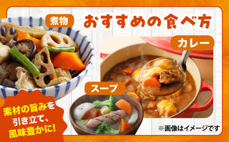 【先行予約】【2026年12月順次発送開始】秋にんじん 10kg にんじん BHCW006