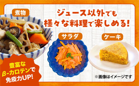 【先行予約】【2026年12月順次発送開始】秋にんじん10kg (訳あり) にんじん BHCW007