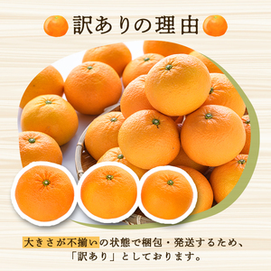 ＜先行予約受付中！2027年2月上旬以降順次発送予定＞ 訳あり！紅甘夏 (約9kg) 国産 紅甘夏 柑橘 果物 フルーツ デザート 果実 期間限定 数量限定 【古田果樹園】akn093-04