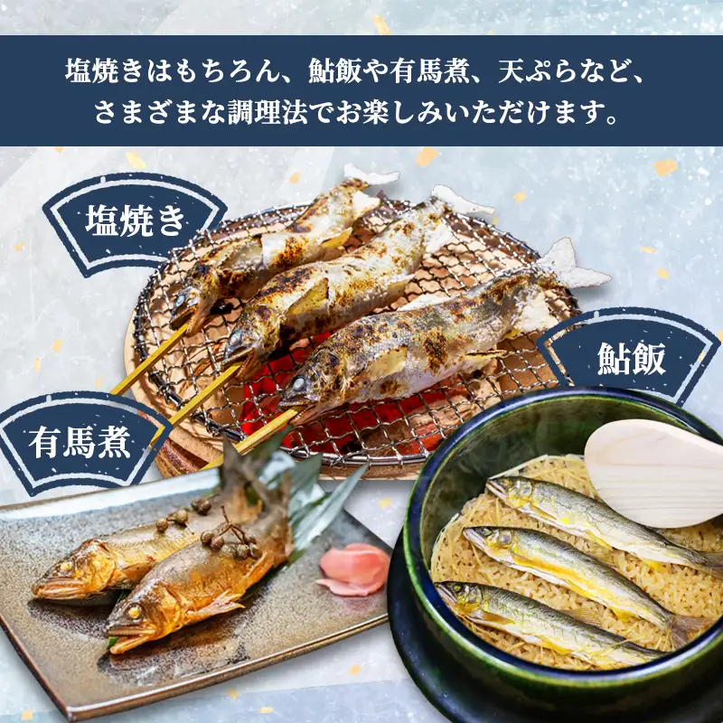 天然鮎 網獲り 冷凍 約0.5kg（約7匹～11匹） あゆ 鮎