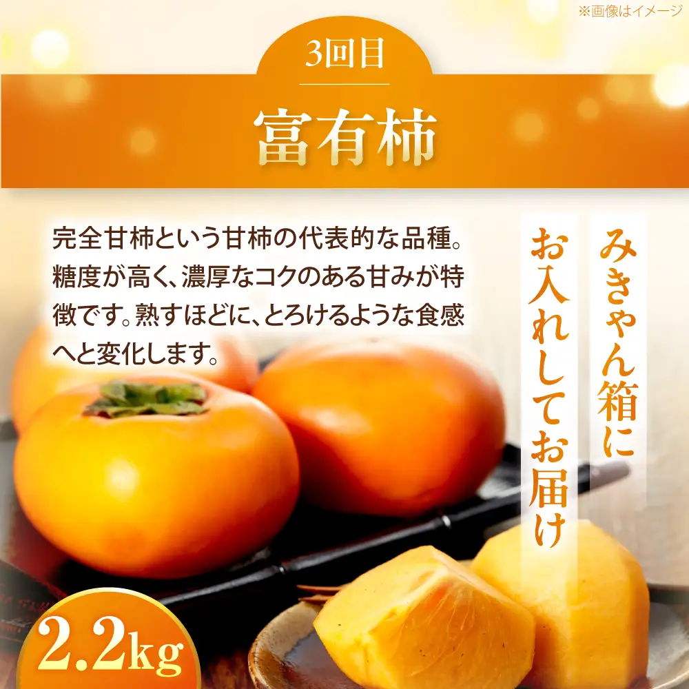 【先行予約】【3回定期便】梨・ぶどう・柿 旬のフルーツ定期便 BKAY030 フルーツ