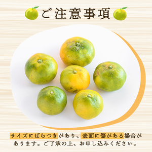 ＜先行予約受付中！2026年9月中旬以降順次発送予定＞ 極早生みかん (約5kg) 国産 みかん 極早生 早生 柑橘 果物 フルーツ デザート 果実 期間限定 数量限定 【古田果樹園】 akn093-06