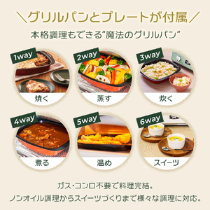 アラジン グリル＆トースター 限定モデル 黒 アラジン