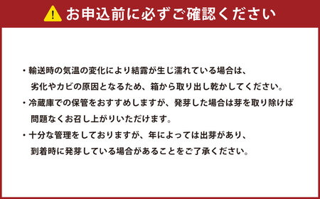 [先行受付] 北海道おとふけ産 人気のじゃがいも 2種セット「キタアカリ・とうや」合計9kg 【B73】《2026年10月下旬より発送開始予定》