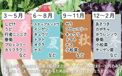 モリモリ野菜・山菜セット（5品目ほど） 75P3205【ひない渡辺農園しどけ村】
