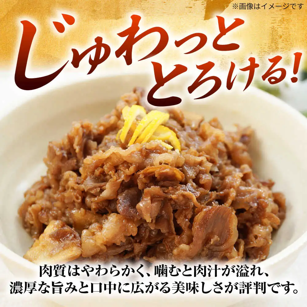 【全12回定期便】博多和牛 切り落とし 500g[BGAB100]牛肉 大容量