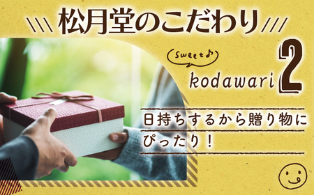 半生ドーナツ 15個 湘南藤沢名物 お味おまかせ 【ドーナツ】