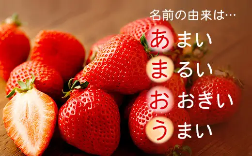 【アフター保証】贈答用 あまおう 約800g【2027年2月上旬～2027年4月上旬発送予定】 いちご イチゴ 苺 化粧箱入り