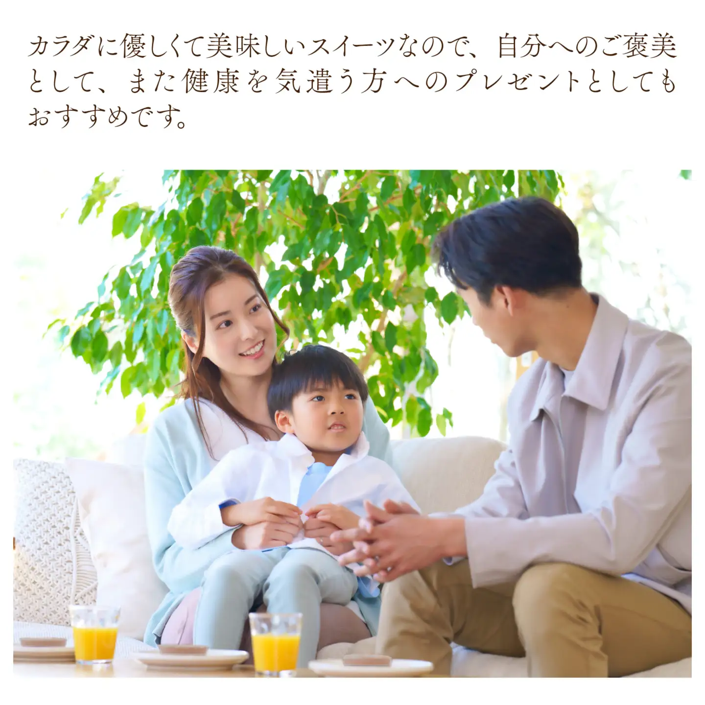 米粉と豆腐のブラウニーセット [A-133003] / ブラウニー スイーツ 菓子 焼き菓子 洋菓子 小麦粉不使用 米粉 大豆 福井市 送料無料