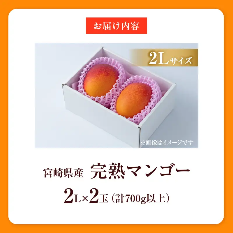 先行予約 宮崎県産 完熟マンゴー 2L×2玉 計700g以上 フルーツ スイーツ 果物_CA101-26