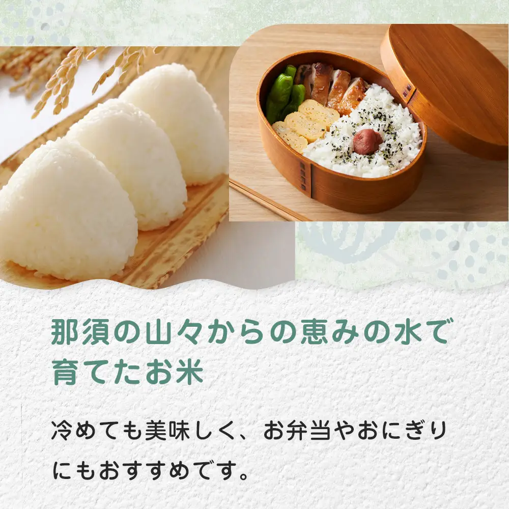 令和8年産 栃木県大田原市産コシヒカリ「富米」 白米 10キロ ｜米 お米  コメ こしひかり 10kg 大田原いそ農園