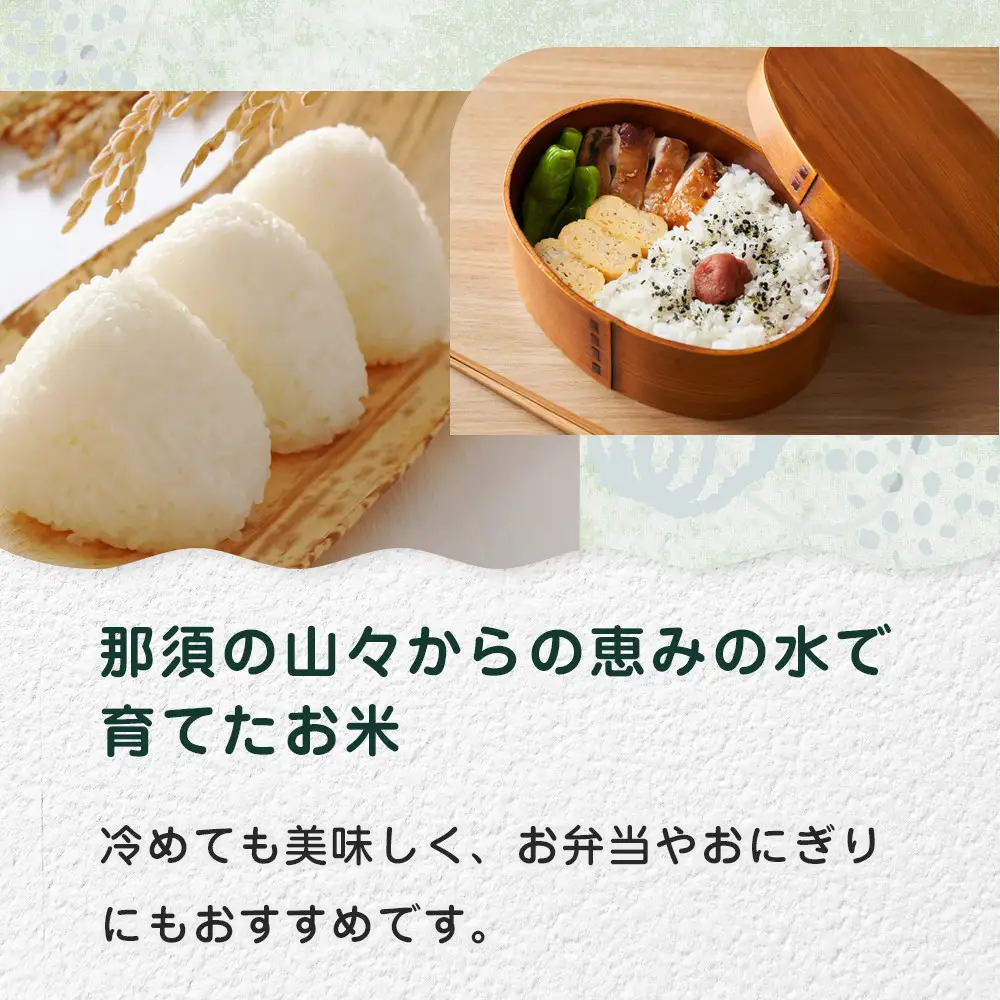  令和8年産 栃木県大田原市産コシヒカリ「富米」 白米 5キロ ｜米 お米  コメ こしひかり 5kg 大田原いそ農園