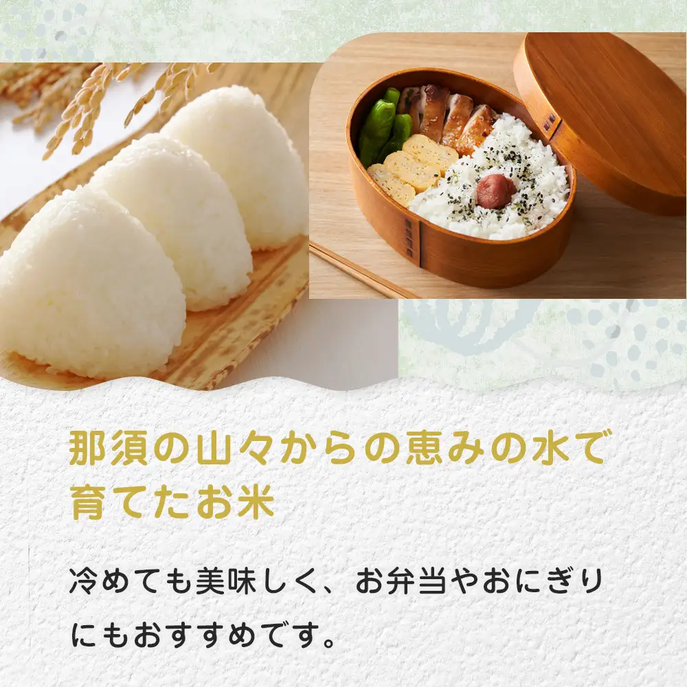 令和8年産 栃木県大田原市産コシヒカリ「富米」 無洗米 10キロ｜米 お米  無洗米 コメ こしひかり 10kg 大田原いそ農園