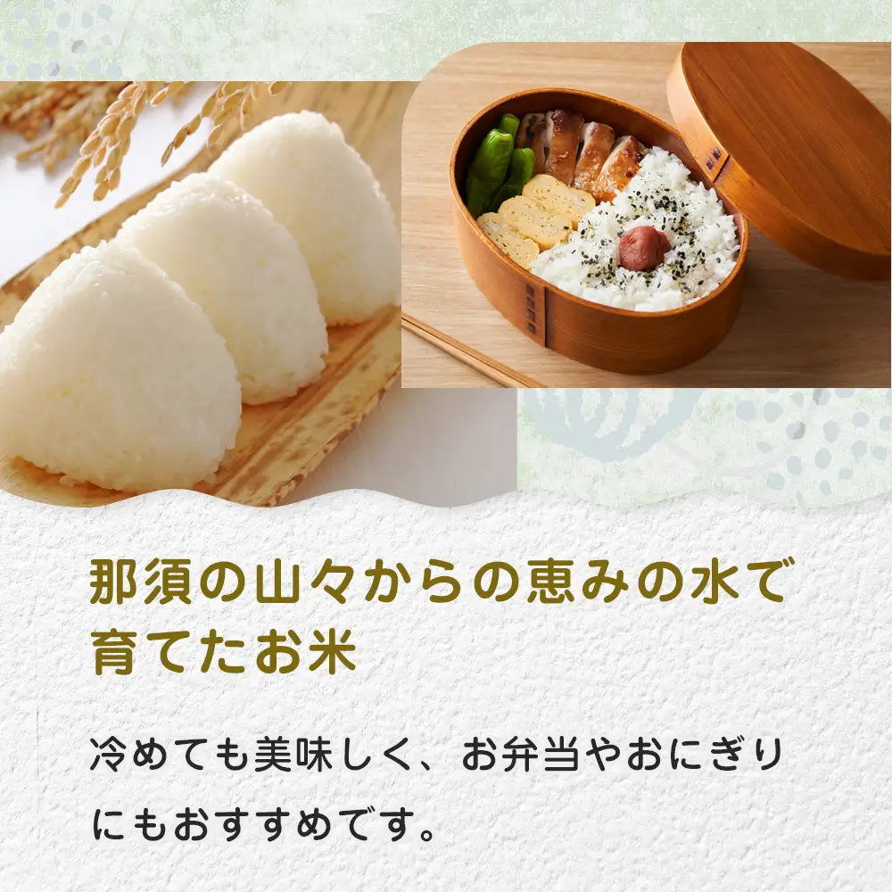 令和8年産 栃木県大田原市産コシヒカリ「富米」 無洗米 5キロ ｜米 お