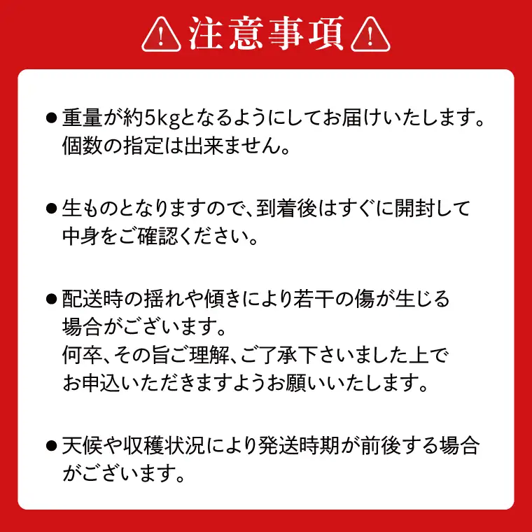 【先行予約】あい farm の梨 あきづき 5kg (7～14玉)  (DQ003)