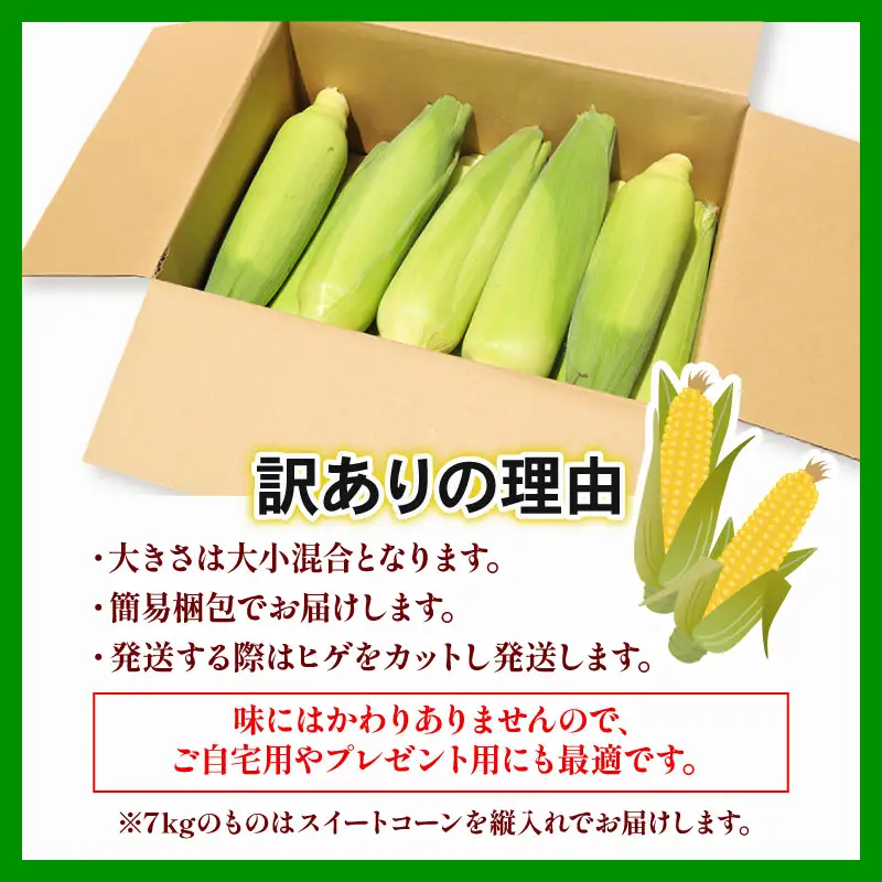 【先行予約】訳あり スイートコーン ゴールドラッシュ 10本 朝採れ コーン HY023