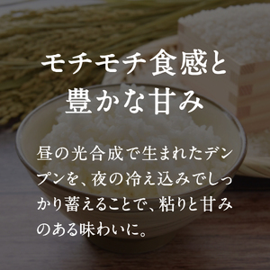 令和8年産 新米 先行予約 鳥取県日南町産コシヒカリ 5kg 新屋のひとしずく ～野組450～ 米 お米 おこめ 精米 こしひかり