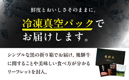 《定期便》全6回 飛騨牛 バラエティ 飛騨高山ミート 飛騨牛 [MZ105]