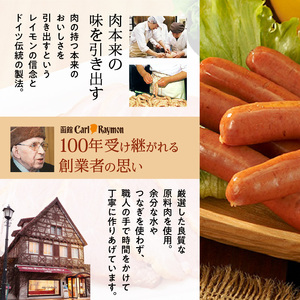 函館 カール・レイモン ビーフジャーキー 30g × 6パック 計 180g 北海道産 肉 牛肉 もも肉 レイモン 特製 タレ 漬け じっくり 仕上げ ジャーキー 柔らかい 肉 旨味 胃袋の宣教師 食品 加工品 おつまみ 酒の肴 お取り寄せ 北海道 函館市 送料無料_HD033-007